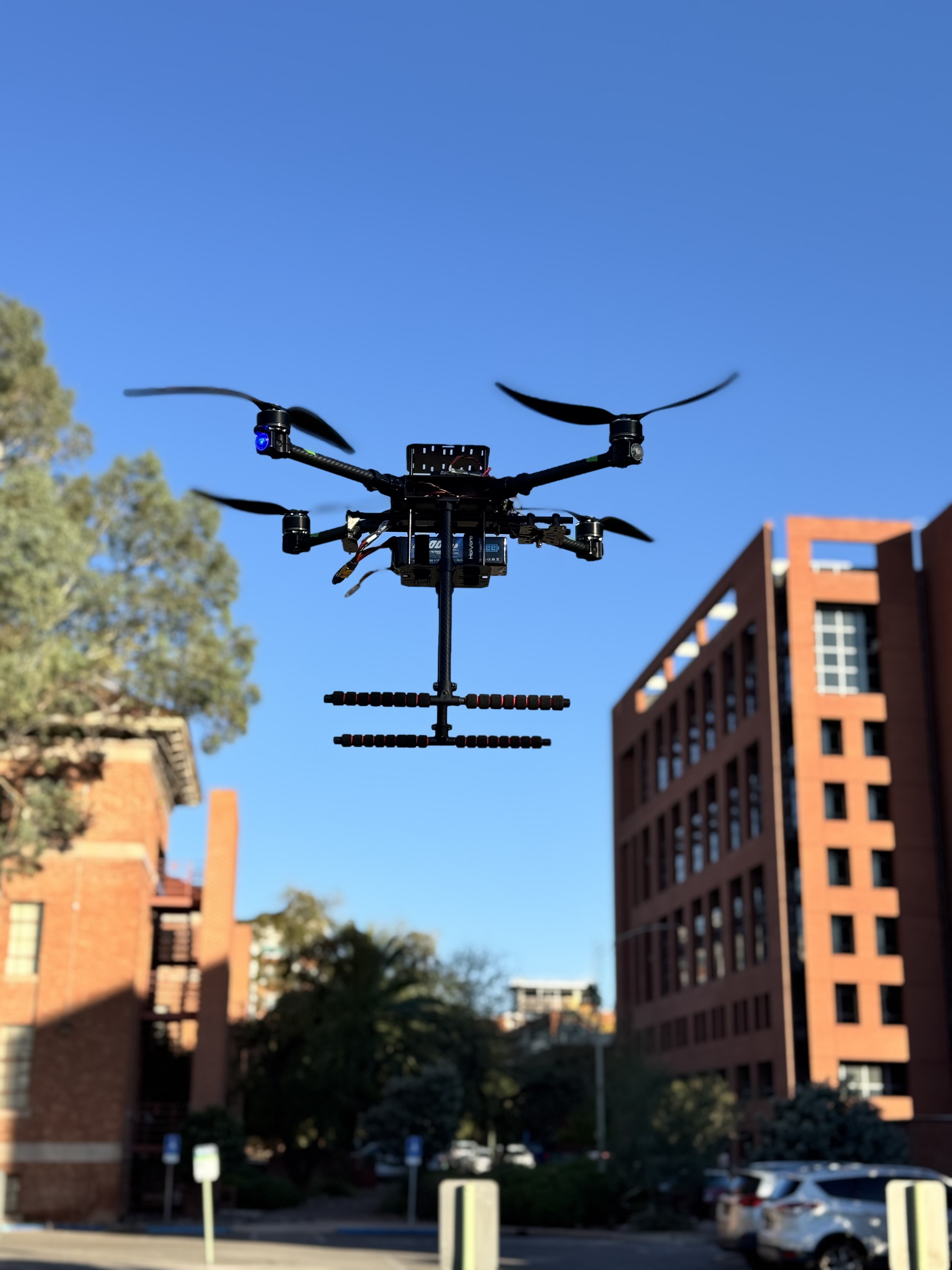 The bat drone