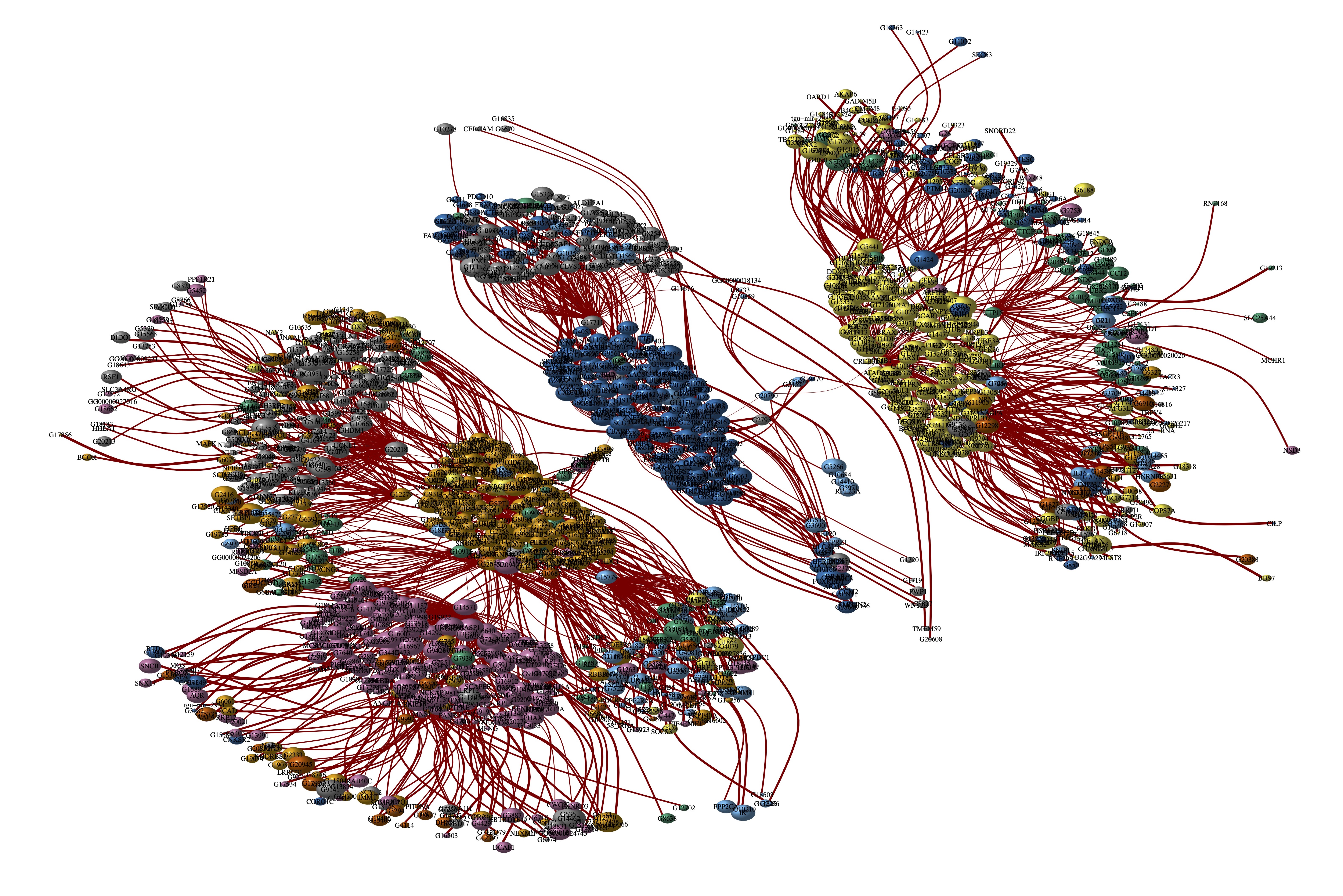 Gene network